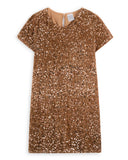 <img src="Golden-Sequin-Velvet-Shift-Dress.jpg" alt="Golden Sequin Velvet Shift Dress" loading="lazy">
