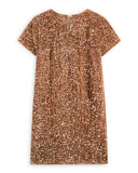<img src="Golden-Sequin-Velvet-Shift-Dress.jpg" alt="Golden Sequin Velvet Shift Dress" loading="lazy">