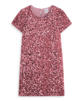 <img src="Pink-Sequin-Velvet-Shift-Dress.jpg" alt="Pink Sequin Velvet Shift Dress" loading="lazy">